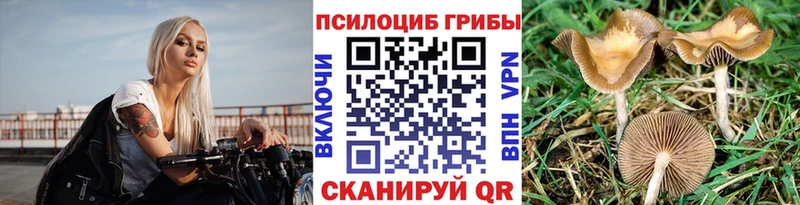 Псилоцибиновые грибы GOLDEN TEACHER Новохопёрск